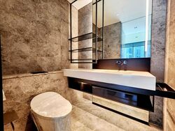 Cuscaden Reserve (D10), Condominium #480791101